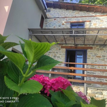 Flower Paradise Τσαγκαράδα Εξωτερικό φωτογραφία