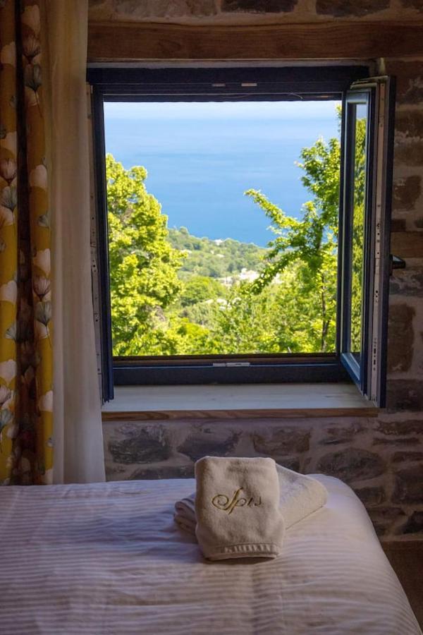Flower Paradise Τσαγκαράδα Εξωτερικό φωτογραφία